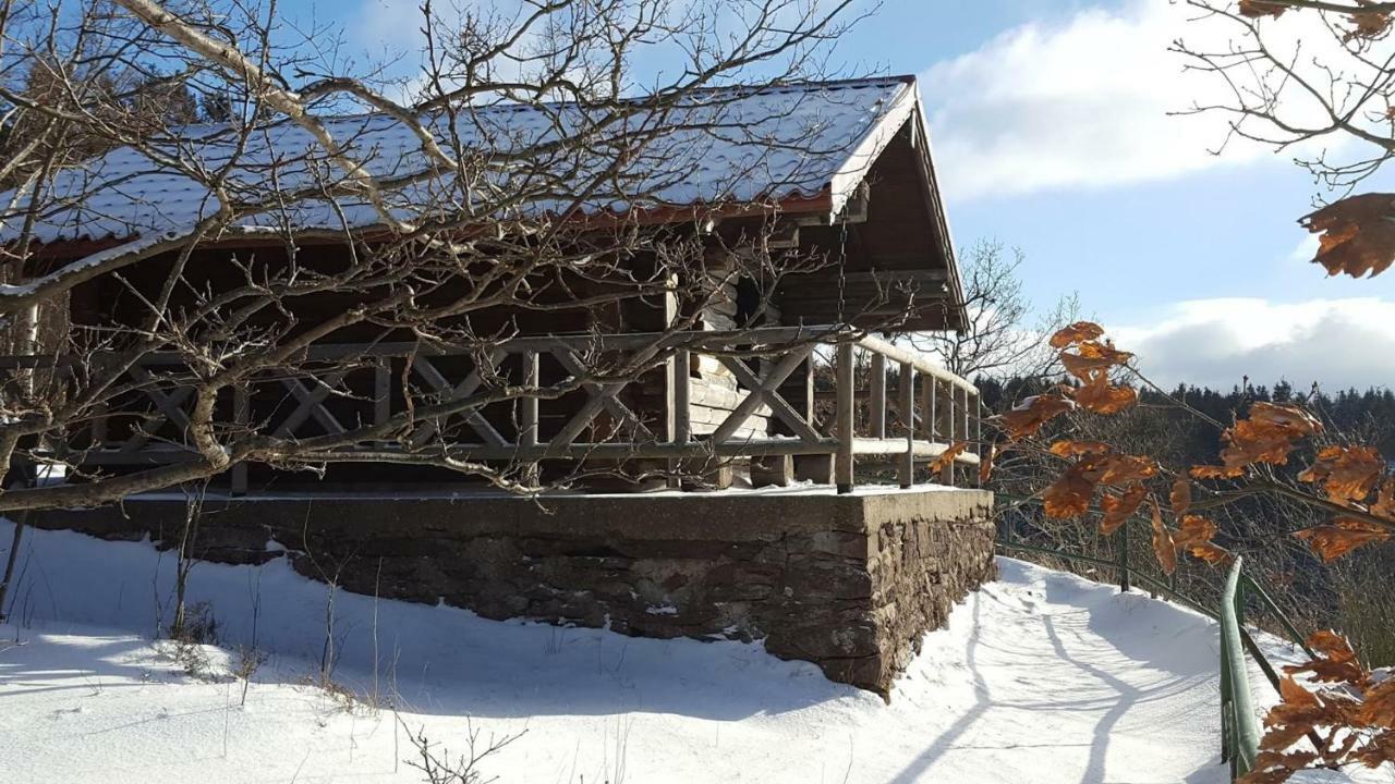 Moderne Komfortwohnung Im Kurort Am Rennsteig Finsterbergen Εξωτερικό φωτογραφία