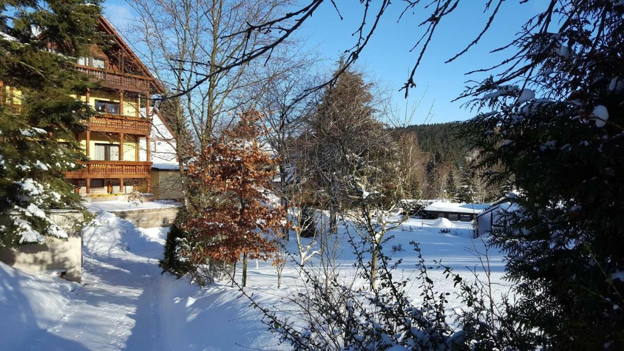 Moderne Komfortwohnung Im Kurort Am Rennsteig Finsterbergen Εξωτερικό φωτογραφία